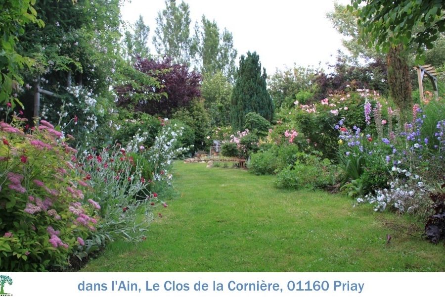 01 Clos de la Corniere