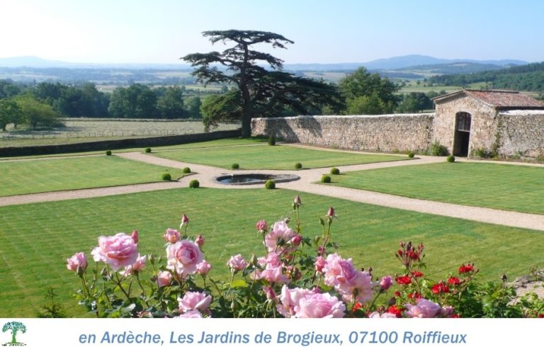 07Brogieux-1.JPG-nggid03522-ngg0dyn-0x0x100-00f0w010c010r110f110r010t010