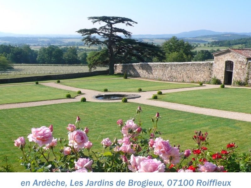 07Brogieux 1.JPG nggid03522 ngg0dyn 0x0x100 00f0w010c010r110f110r010t010