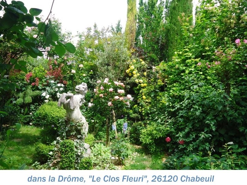 26clos fleuri 2.JPG nggid03528 ngg0dyn 0x0x100 00f0w010c010r110f110r010t010