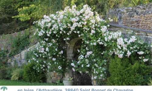 38-Arthaudière.JPG-nggid03567-ngg0dyn-0x0x100-00f0w010c010r110f110r010t010 38-Arthaudière.JPG-nggid03567-ngg0dyn-0x0x100-00f0w010c010r110f110r010t010