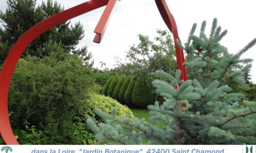42-Jardin-Botanique-Manevy 42-Jardin-Botanique-Manevy