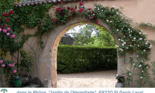 69-Hermitage-12 69-Hermitage-12