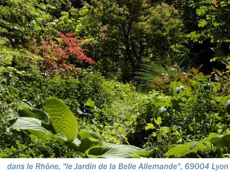 69 La Belle Allemande 5