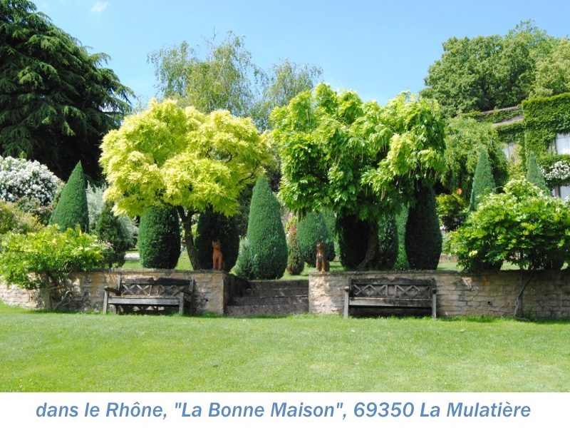 69 La bonne Maison 11