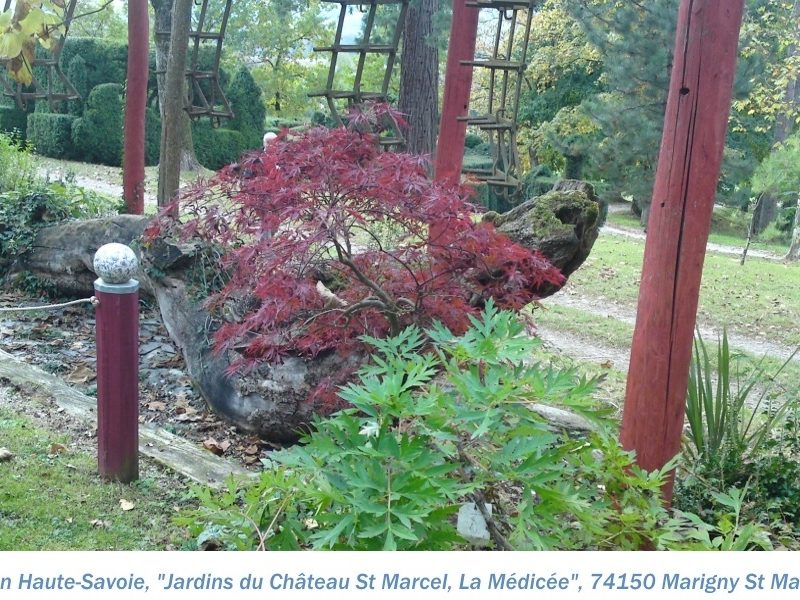 74 la Médicée 15.JPG nggid03552 ngg0dyn 0x0x100 00f0w010c010r110f110r010t010