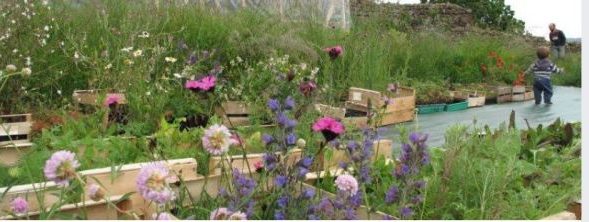 Deux Pepinieres En Rhone Alpes Pjra