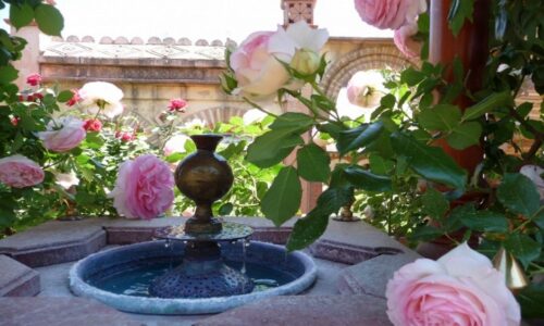 74 jardins secrets3 74 jardins secrets3
