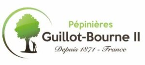 GuillotBourne0