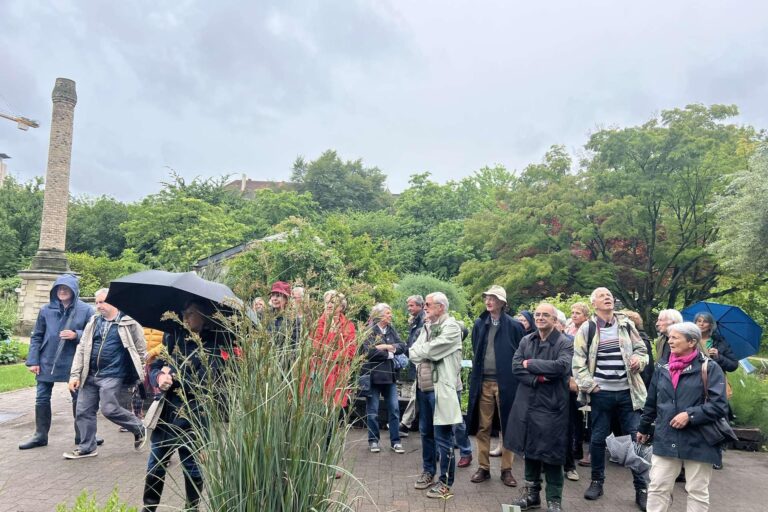 2405 211 botanique Strasbourg 4