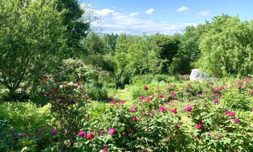 jardin dans le Rhône jardin dans le Rhône