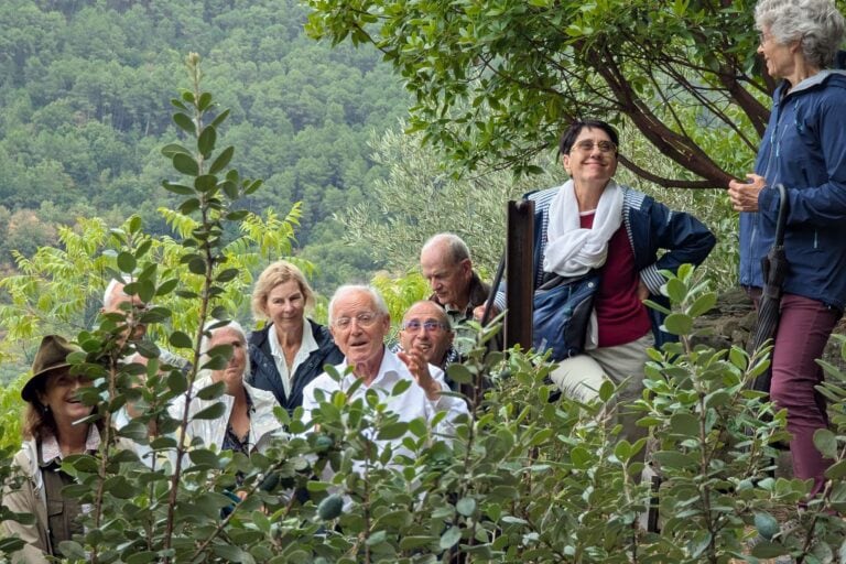 PXL 20250904 102408940