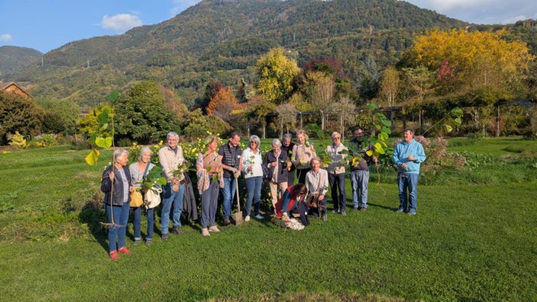 Mas_des_Bealieres (9)