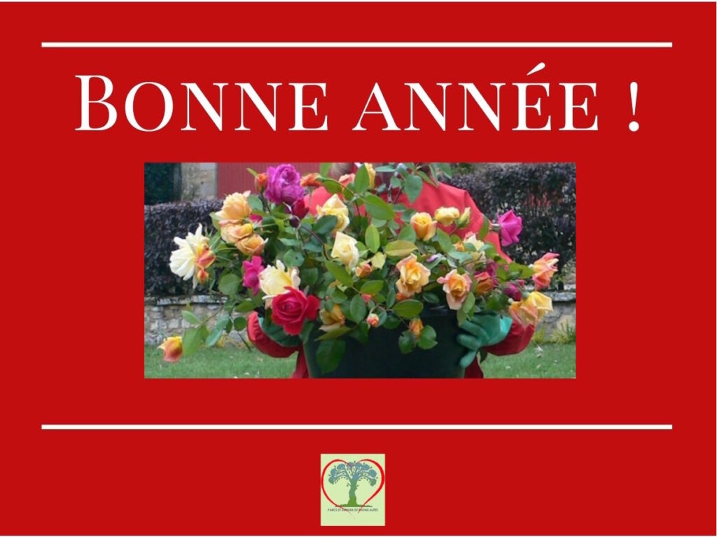 Bonne annee 2025