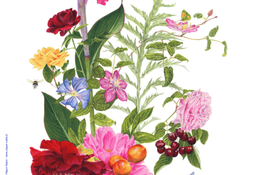 Société Lyonnaise d’Horticulture