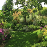 Revue Parcs et Jardins Revue Parcs et Jardins
