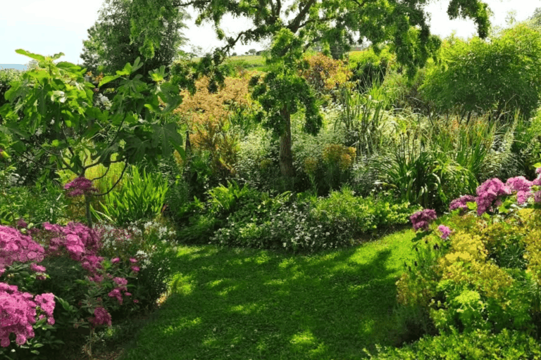 Revue Parcs et Jardins