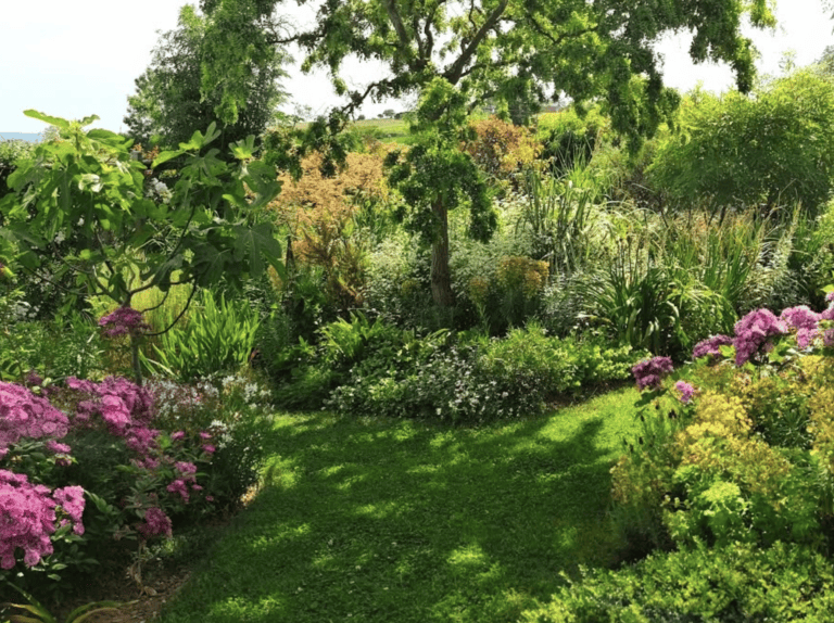 Revue Parcs et Jardins