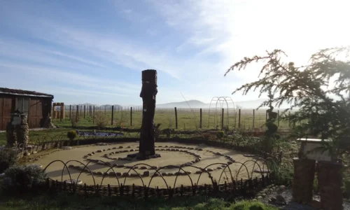 Jardin Zen Jardin Zen