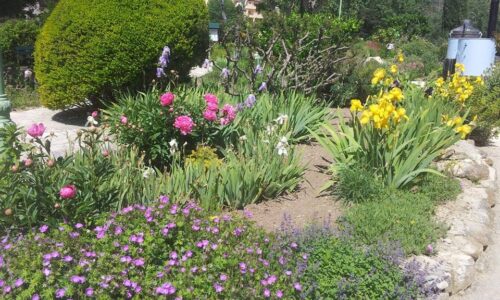 Jardin des aromes de Nyons Jardin des aromes de Nyons