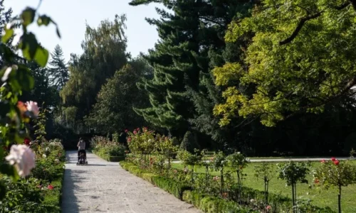 Jardin-des-plantes-Josephine-Baker Jardin-des-plantes-Josephine-Baker