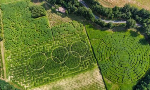 Labyleo Labyrinthe végétal