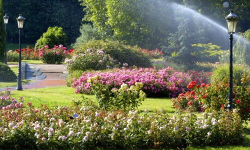 Parc tete dor Parc tete dor
