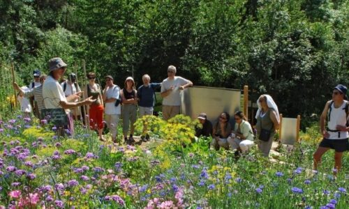 Terrevivante-centre-ecologique Terrevivante-centre-ecologique