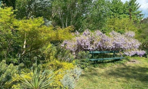 jardin des sables jardin des sables