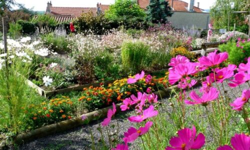 jardin-medieval-hildegarde-saint-romain-le-puy jardin-medieval-hildegarde-saint-romain-le-puy