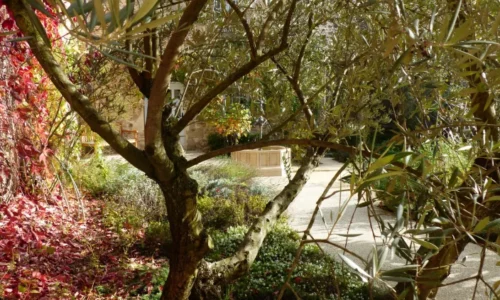 jardinmedieval jardinmedieval