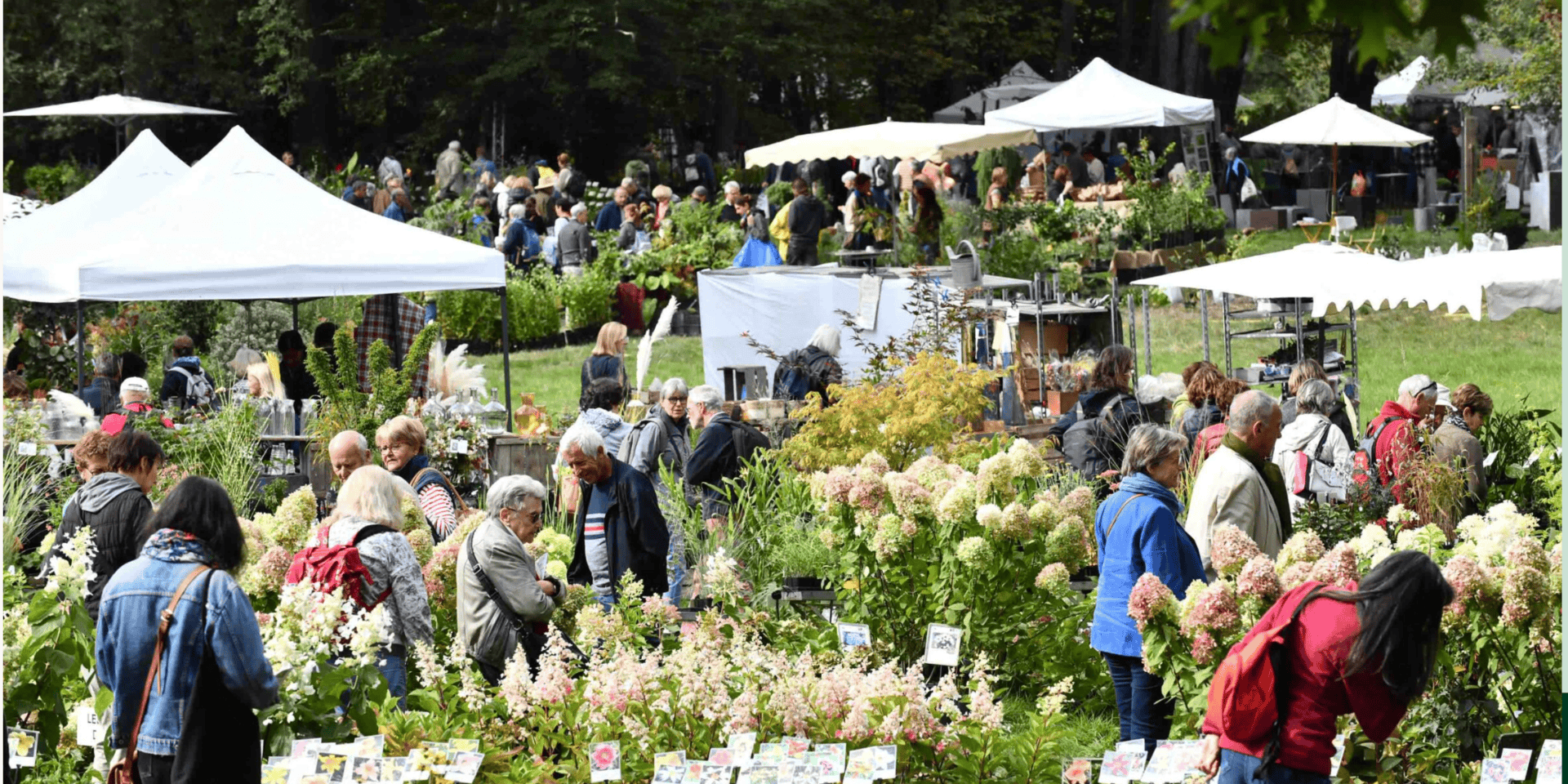 Trouve Plante permet de localiser plus de 230 pépiniéristes producteurs indépendants en France