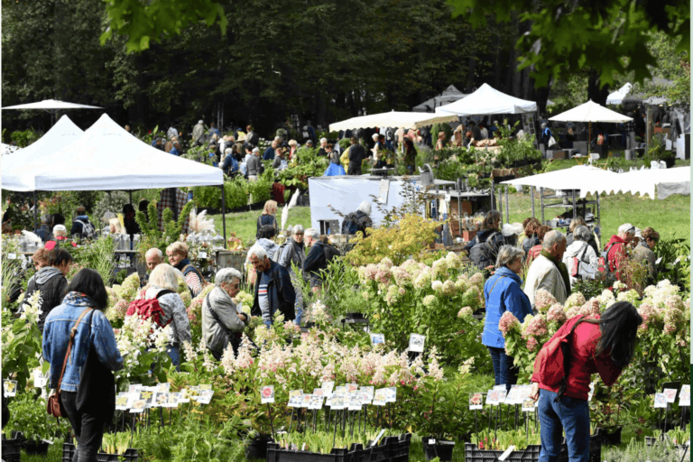 Trouve Plante permet de localiser plus de 230 pépiniéristes producteurs indépendants en France